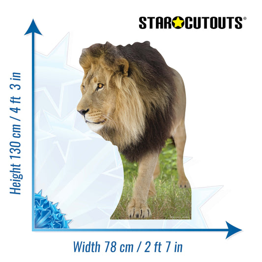 SC054 Lion Cardboard Cut Out Height 130cm