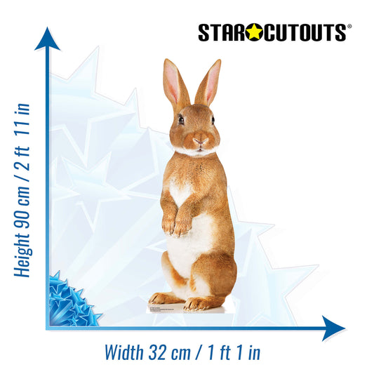 SC1120 Cute Rabbit Cardboard Cut Out Height 90cm