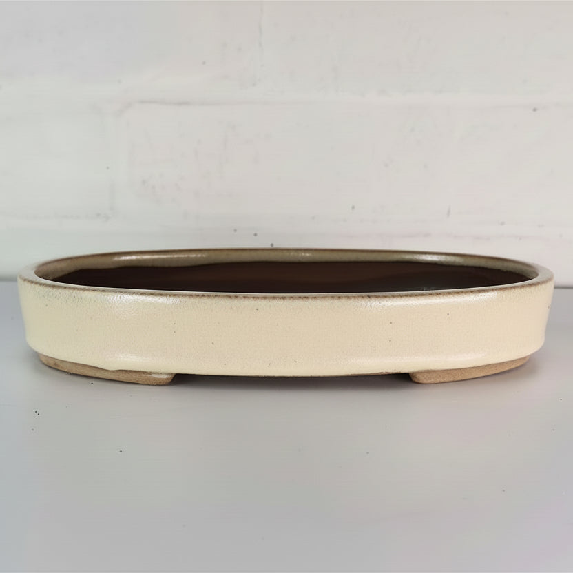 26cm Glazed Bonsai Pot | Oval | 26cm x 19cm x 4cm | Cream
