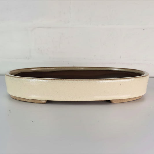 26cm Glazed Bonsai Pot | Oval | 26cm x 19cm x 4cm | Cream