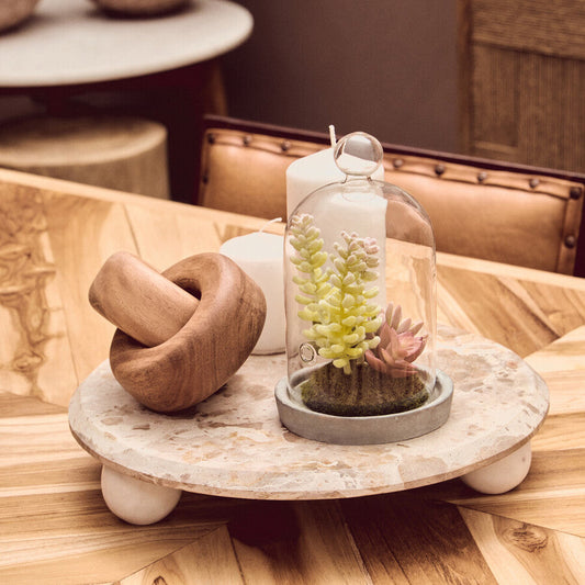 Fiori Small Succulent Dome With Cement Base