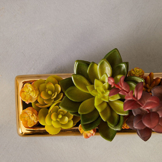 Fiori Mixed Succulents with Gold Ceramic Pot