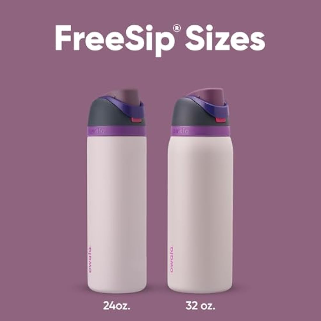 Owala FreeSip Insulated Stainless Steel Water Bottle with Straw for Sports and Travel, Leak Proof, BPA-Free, 710ml, Dreamy Field