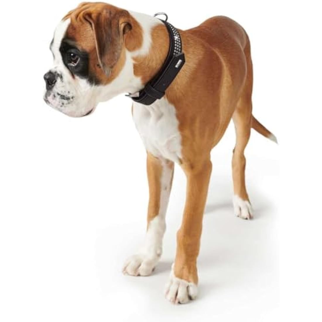 HUNTER Softie Deluxe Collar, X-Large, Black