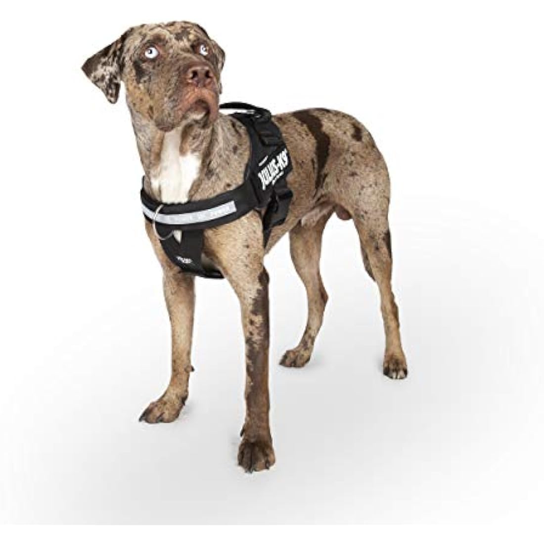 Julius-K9, IDC Powerharness, Dog Harness with Front Control Y-Belt, Black, Size: M/0
