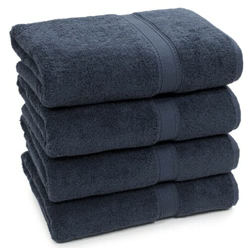 Nausha Pack of 4 Bath Towels 100% Egyptian Cotton Towels Set Super Soft and Highly Absorbent Towels 500 GSM Grey