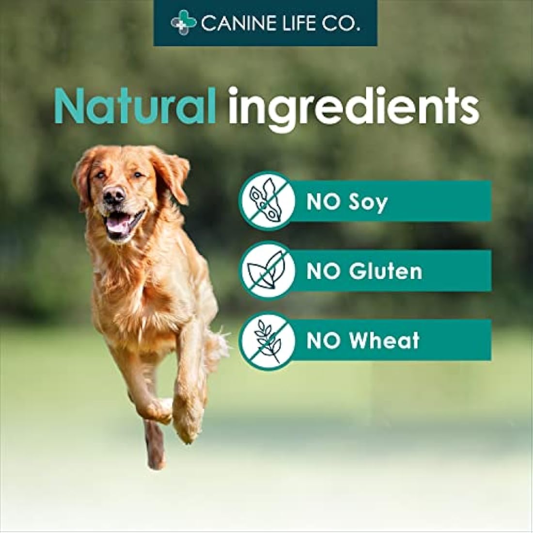 Enhanced Adult Dog Joint Supplements With Turmeric, Glucosamine & Green Lipped Mussel 300 Chewable Tablets Made In The UK - Canine Life Co. (1 Pot (300 Tablets))
