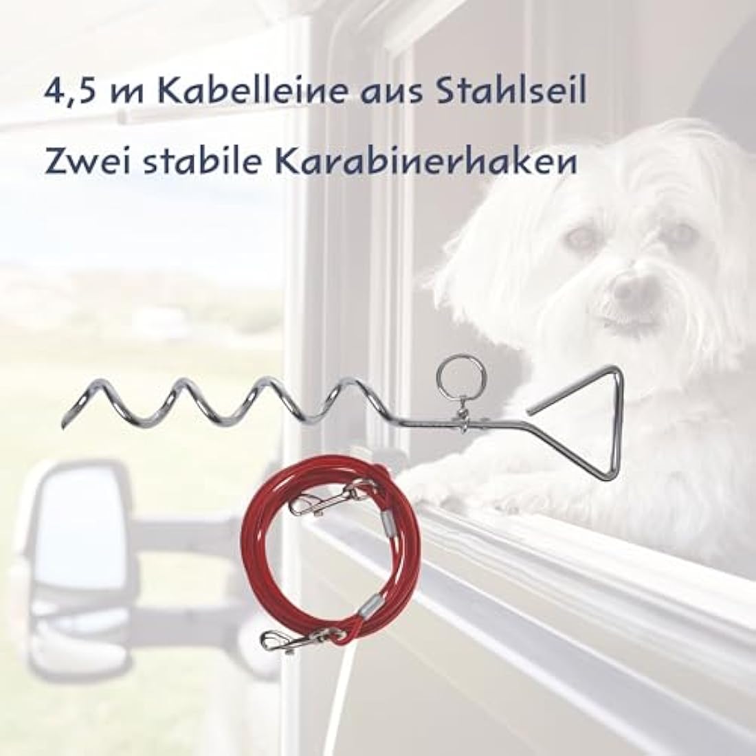 cartrend Caravan 10195 Dog Tying Stake/Coil/Ground Anchor/Anchor for Outdoor Leash for Camping