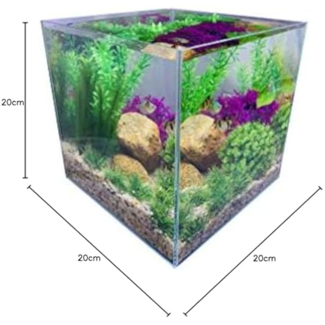 7 Litre Rimless Low Iron Glass Aquarium Tank (7.8" L × 7.8" W × 7.8" H / 20cm x 20cm x 20cm), Thickness Standard Jointed