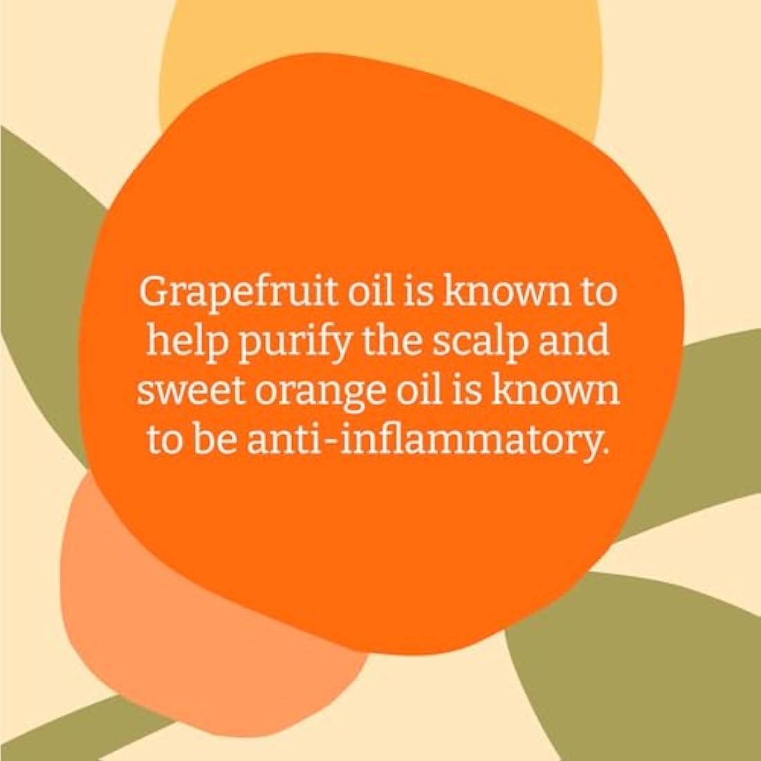 Faith In Nature Natural Grapefruit & Orange Shampoo, Purifying For Oily Hair & Scalp, Vegan & Cruelty Free, No SLS, Silicones or Parabens, 5L Refill Pack