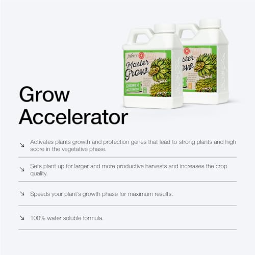 Xpert Nutrients Master Grow A+B (1L) - Basic Growth Fertilizer for the Vegetative Phase of Plants, Balanced Liquid Fertilizer, Indoor and Outdoor Grow Stimulator, Premium Quality