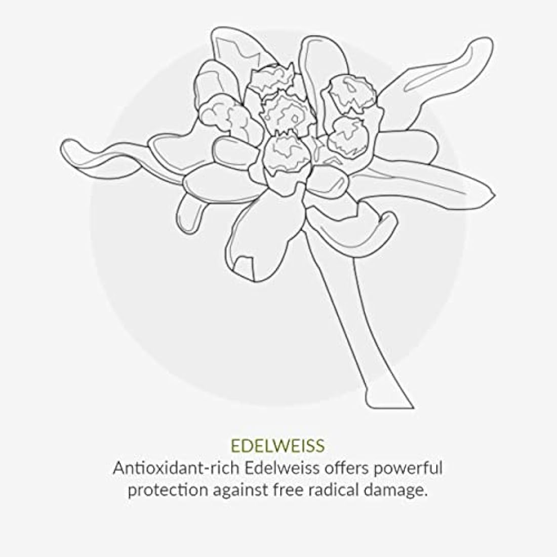 Green People Organic Children Sun Cream SPF30 - Scent Free, Natural Sunscreen - Organic, Vegan, Reef Safe & Cruelty Free, 150ml