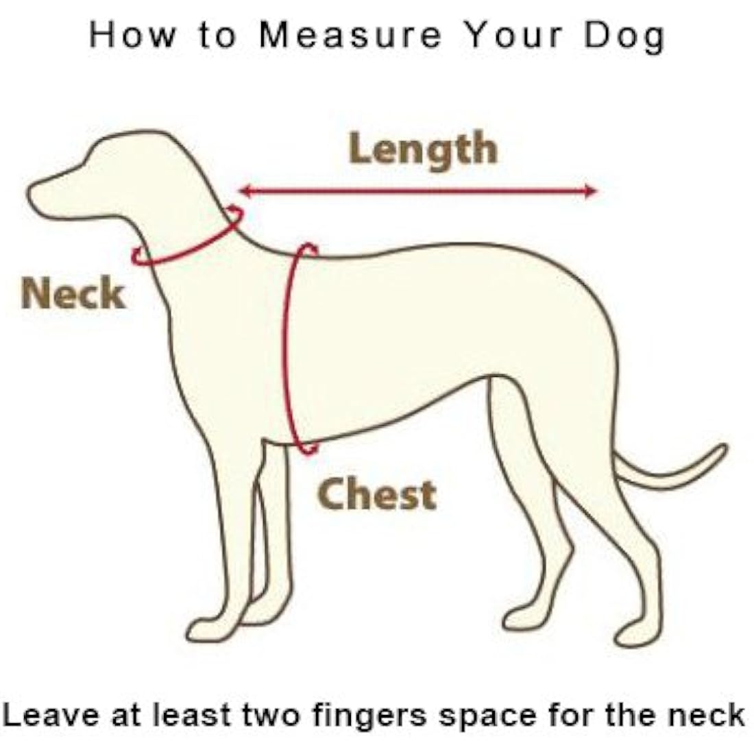 Dog Harness Puppy Harness Small Dog Harness Waterproof Soft Mesh Fabric Dog Puppy Pet Adjustable Harness Lead Leash (M, Red)