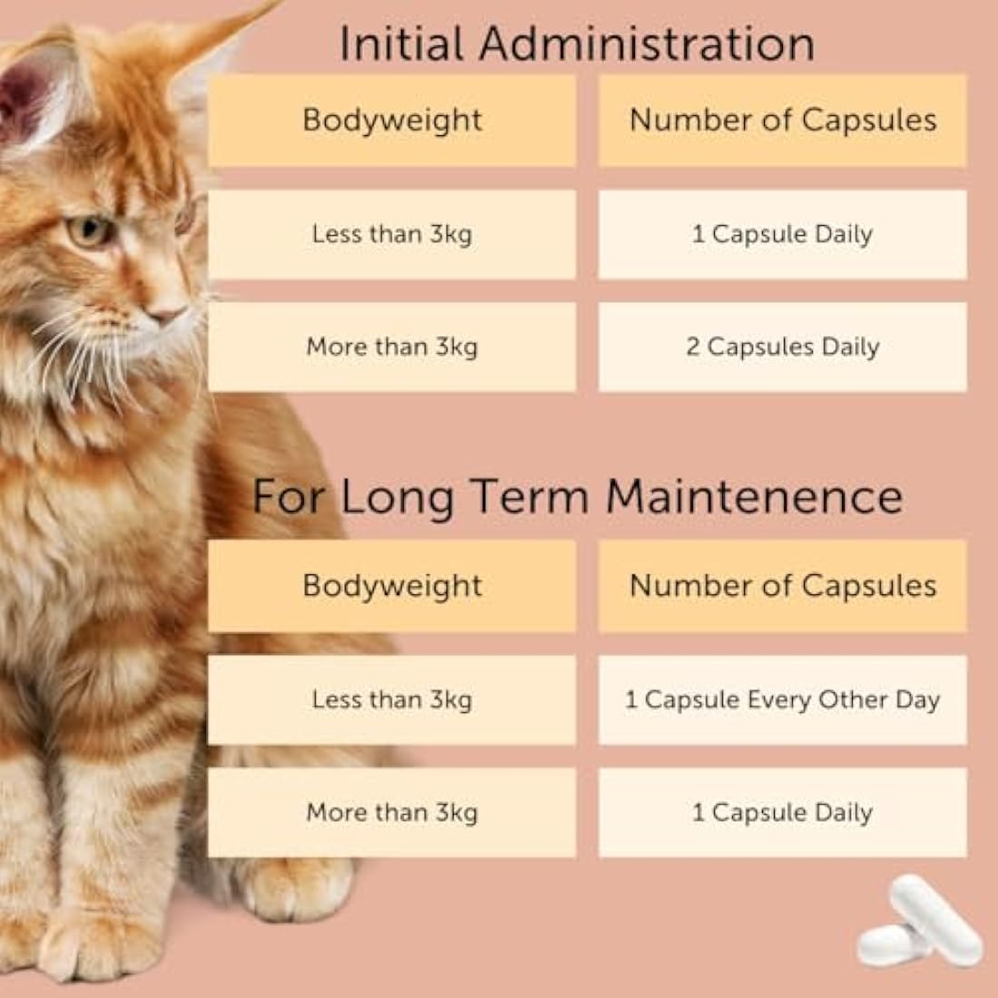Feliway Cystease 30 Capsule Pack, 30 Feliway Cystease Capsules For Cats Urinary Tract Infection Treatment, Cat Supplements To Help Stress Related Bladder Issues And Reduce Cat Anxiety In Your Pet
