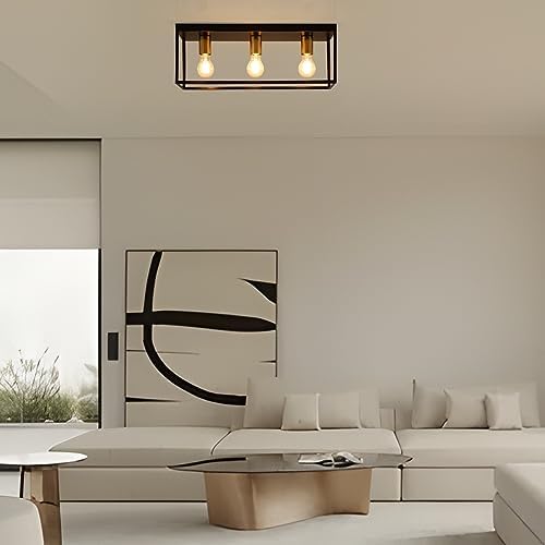 3 Lights Black Ceiling Lights, Flush Mount Modern Industrial Ceiling Light E27, LED Metal Cage Ceiling Light Fixture for Bedroom Living Room Kitchen Hallway Staircase max.60W - NO Bulb
