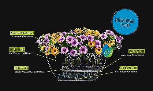 Lechuza Self Watering Plant Pot CUBETO Stone 40 Garden Flower Indoor and Outdoor Plastic Planter with Drainage Hole D40 H18 cm Stone Grey