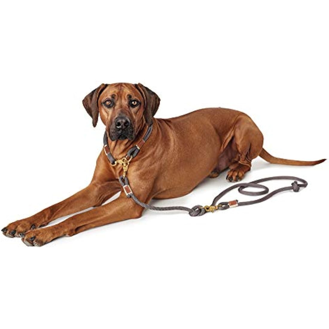 HUNTER Adjustable leash Sansibar Rantum, 12/200 Rope, grey