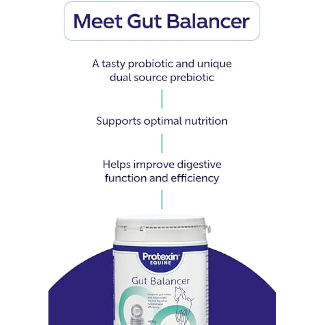 Protexin Equine Horse & Pony Gut Balancer, 700g, Advanced Digestive Support