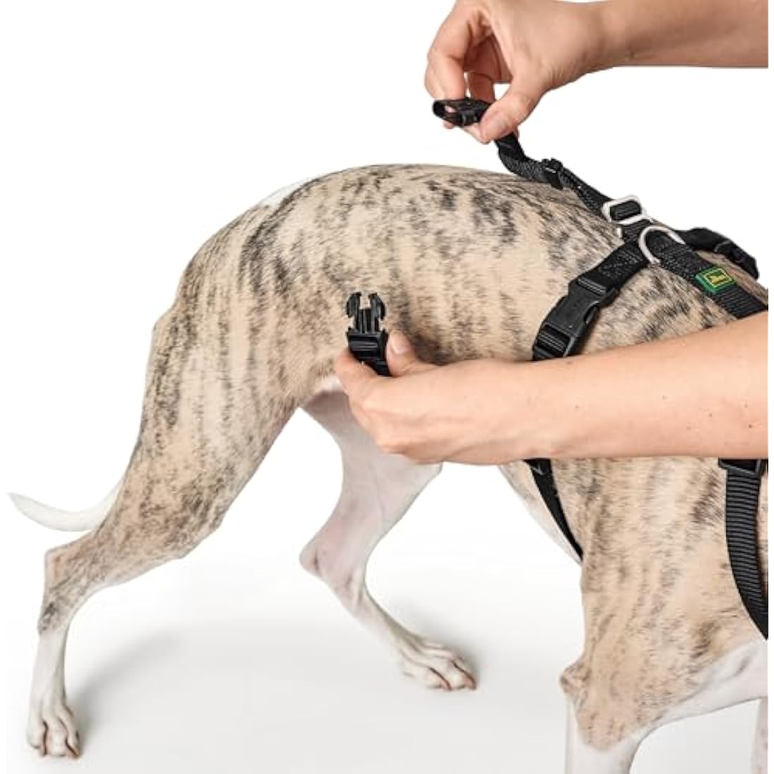 HUNTER Escape-proof harness Vario Rapid, L black, Nylon