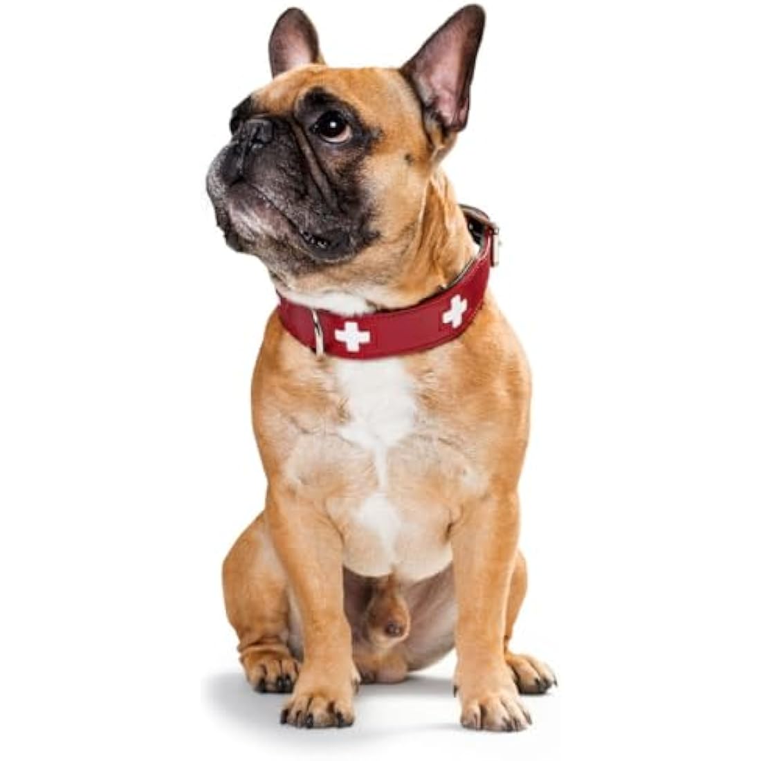HUNTER Collar Swiss 75 Organic Leather,61,0-68,5 cm, Red/Black
