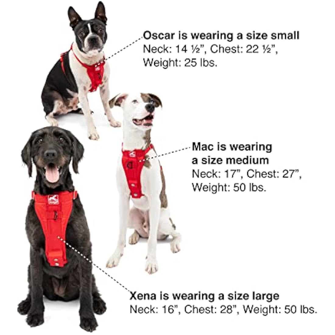 Kurgo, Enhanced Strength Tru-Fit Smart Harness for Dogs, Charcoal, Large