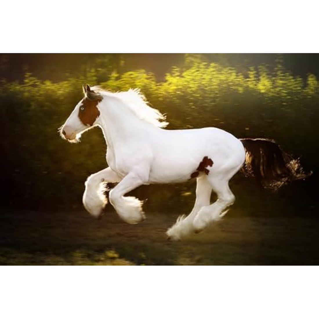 Farriers Equine Care Feather Mite Treatment for Horses (Twin Pack) 1.5 Litres