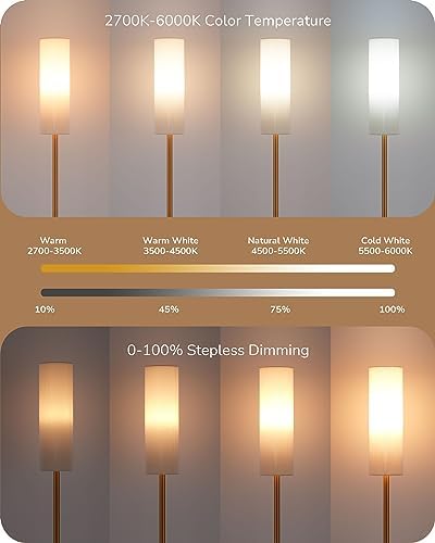 EDISHINE Floor Lamp, Standing Lamp with Wrinkled Linen Lampshade, Floor Lamps for Living Room, Bedroom, 165cm, E27 Socket(9W LED Dimmable Bulb Included), Magnetic Remote Control, Gold