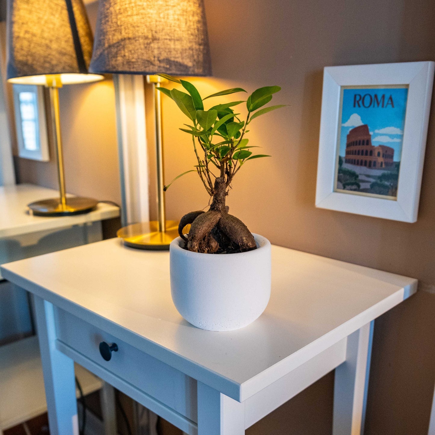 CONCRETE BIG DOLPHIN POT