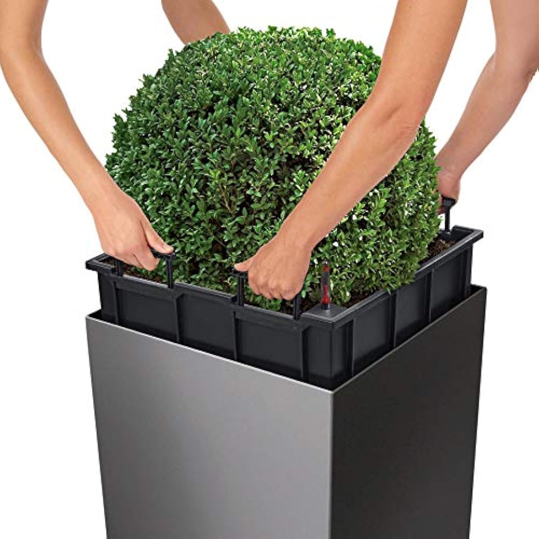 Lechuza Self Watering Plant Pot CUBE 50 Garden Flower Indoor and Outdoor Large Plastic Planter with Drainage Hole H50 L50 W50 cm White High-Gloss