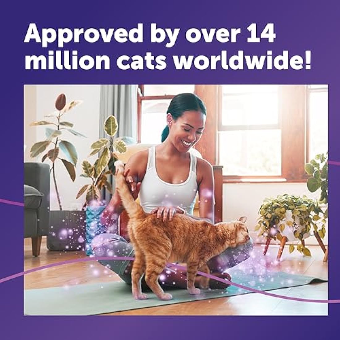 FELIWAY Classic 30 Day Cat Calming Odourless Refill for Pheromone Diffuser, 48ml - Helps Solve Common Signs of Stress in Cats & Kittens, Veterinary Recommended, Drug-free, Clinically Proven