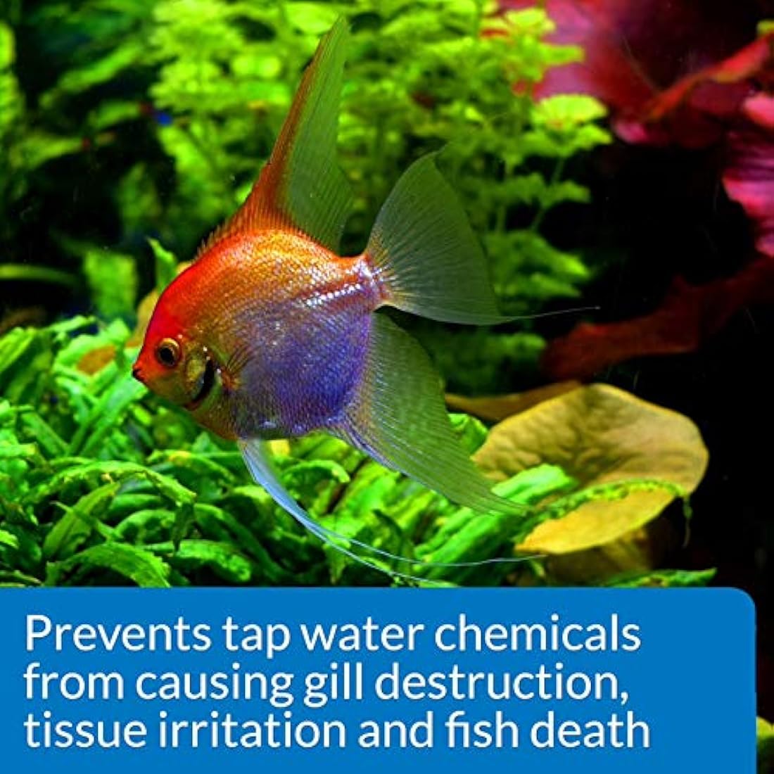 AQUARIAN TAP WATER SAFE, Aquarium Water Conditioner, 118 ml Bottle,White