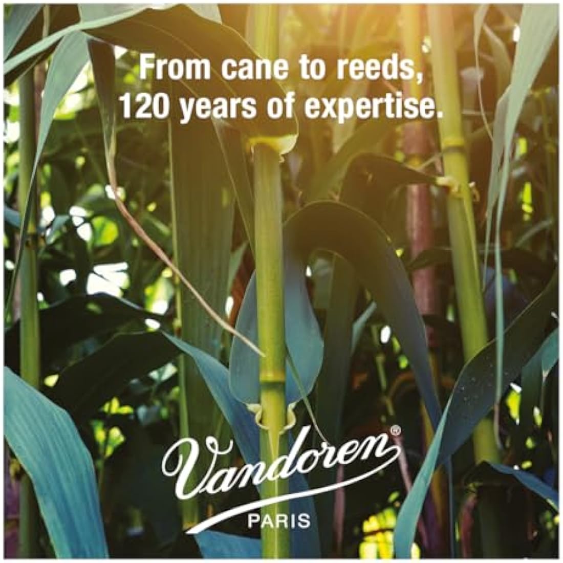 Vandoren Traditional Alto Saxophone Reeds – Box of 10 – Strength 2.5