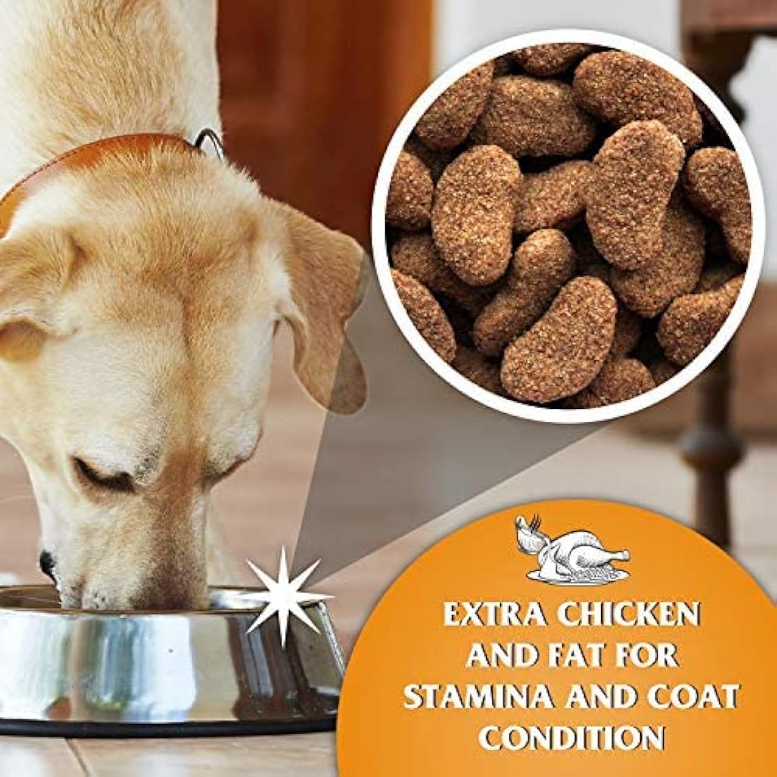 Dr John Gold Complete Dry Dog Food, Chicken with Vegetables, 15 kg