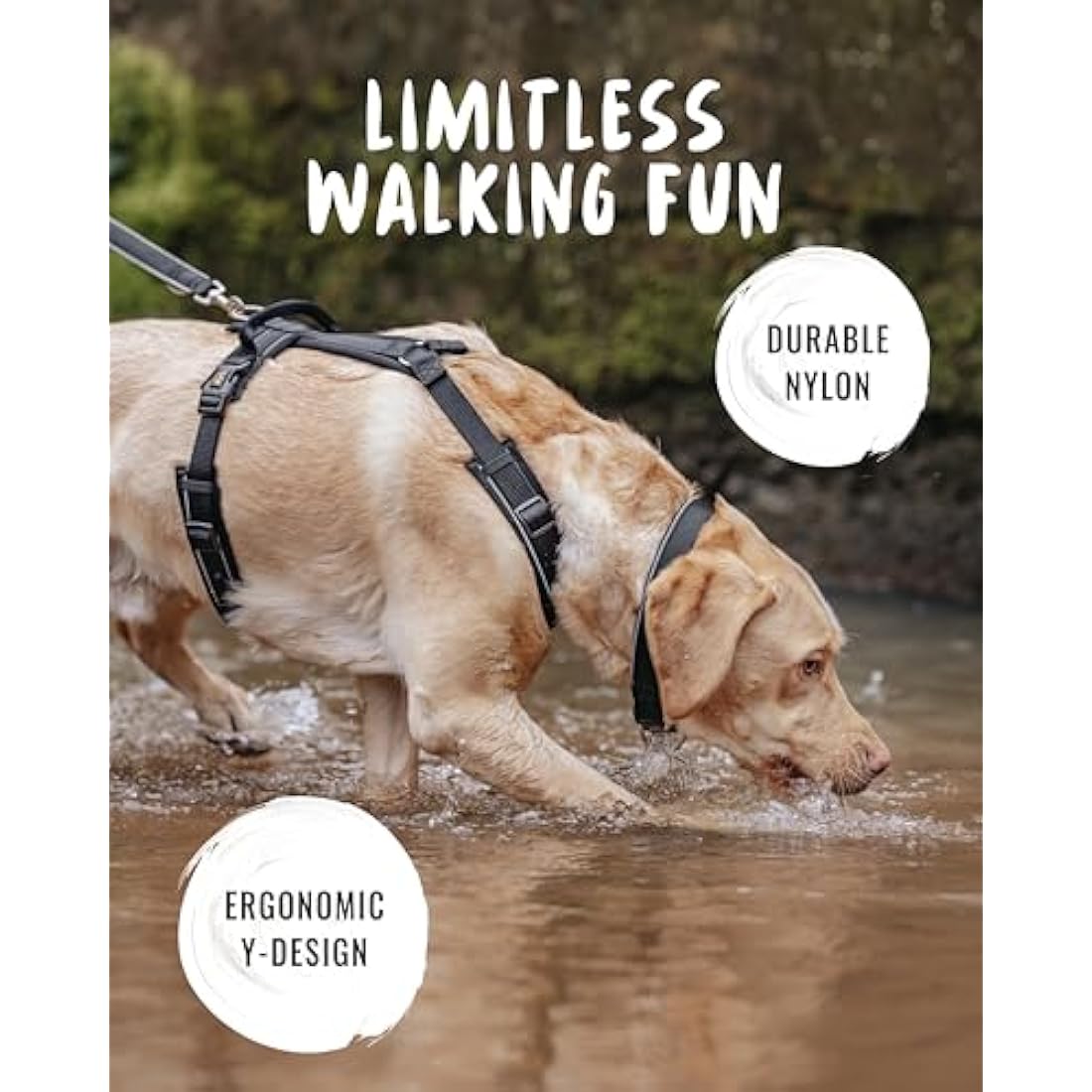 Rudelkönig dog harness Paola - Reflective Chest Harness with Handle - Adjustable medium no pull harness for dogs - For medium dogs