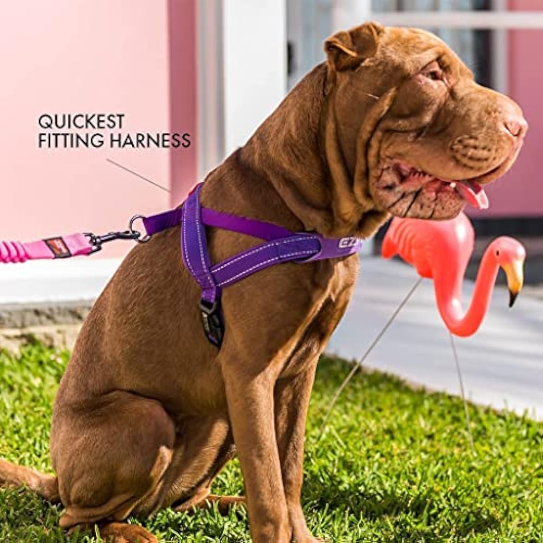EZYDOG Quick Fit Dog Harness | Small, Medium, Large, K9, Reflective Stitching, Water Resistant Materials, No Pull (Corduroy)