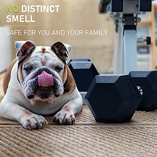PhysKcal Hex Dumbbells 22.5kg Single, Odourless Poly Rubber Encased Dumbbells Set 2.5KG 5KG 7.5KG 10KG 12.5KG 15KG 20KG Home Gym Weights Set