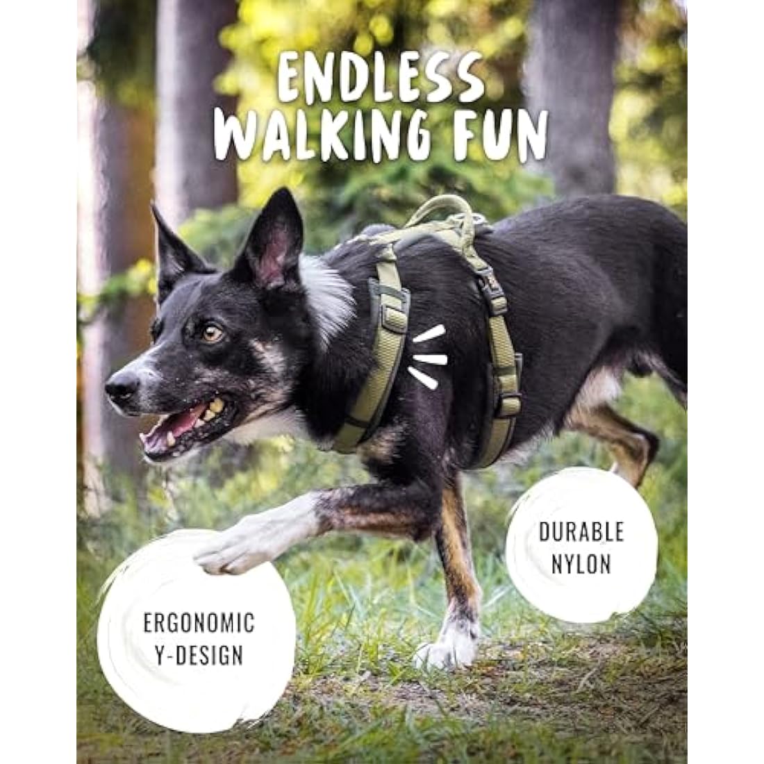 Rudelkönig dog harness Bella - Chest Harness with Handle - Adjustable no pull harness for dogs in Various Sizes - Escape proof dog harness for very large dogs
