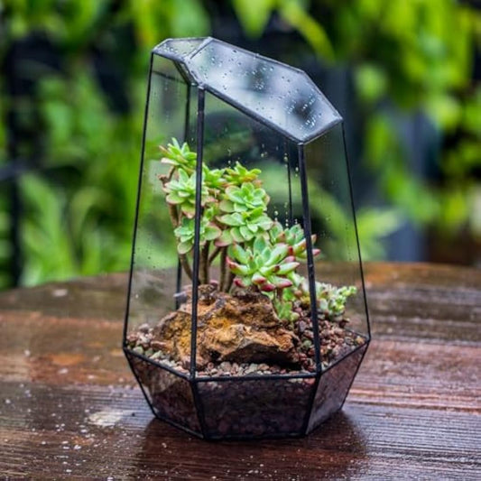NCYP Opened Geometric Glass Terrarium for Succulent, Air Plants - 16.5 x 14.5 x 25 CM Irregular Glass Planter Pot - Indoor Garden Tabletop Decor, Black (No Plants, No Door)