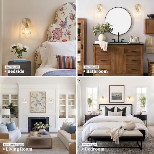 Shenmoyl Vintage Wall Lights Set of 2 Wall Lamps Indoor Gold Wall Sconces 180 Degree Adjustable with Switch for Living Room Bedroom Bedside Bathroom Tulip Clear