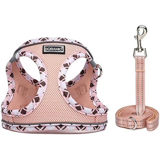 DORAMIO Step-in Dog Harness and Leash Set, Soft Mesh No-Chock Reflective Breathable Easy Walk Lightweight Vest Harnesses with Safety Buckle for Small Dogs, Cats, Puppies (Champagne, S)