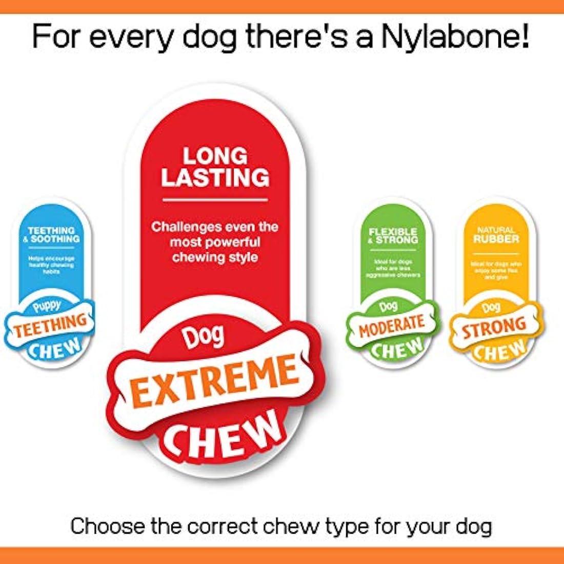 Nylabone Extreme Tough Dog Chew Toy, Wishbone Bison Flavour, Small, for Dogs Up to 11 kg,Brown, Large Breeds