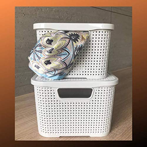 BranQ Home Essential Universal Multifunctional Basket in Rattan Design, Size L 19 L, BPA-Free Plastic PP, Cream, 38 x 27.8 x 18.5 cm