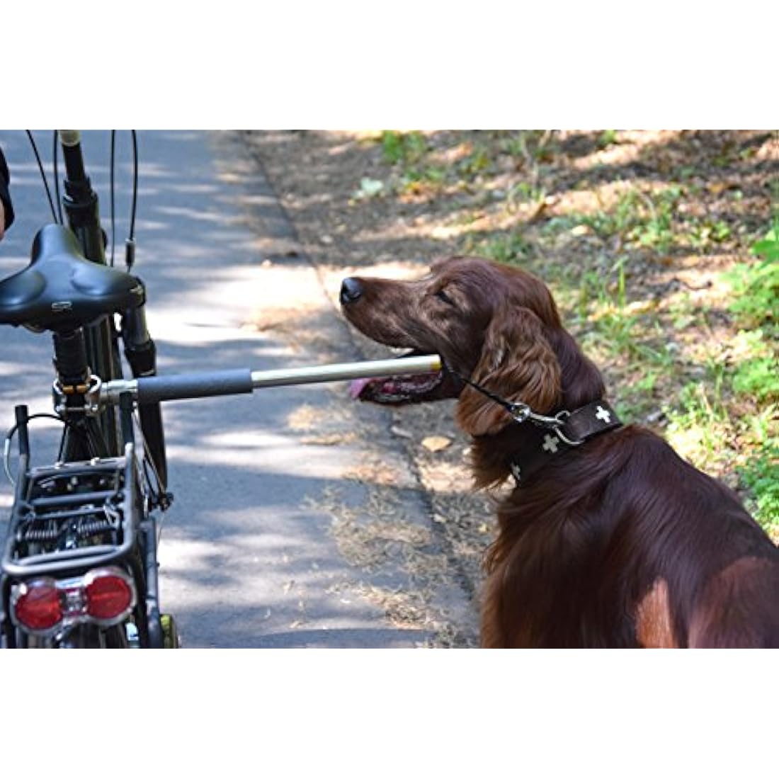 dobar® 62000 Walky Dog Plus Dog Bicycle Lead, Stainless Steel Spacer, Bicycle Holder with Triple Rear Damper, Traction Lead with Quicklock and Spacer, 37.5 cm, Silver