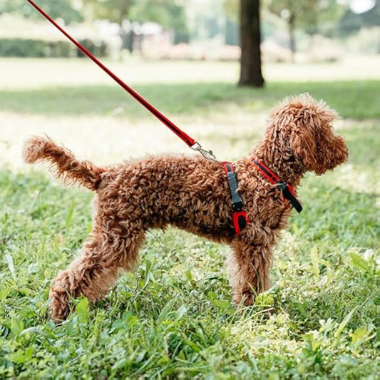 Ferplast Small Size Dog Harness ERGOCOMFORT EXTRA SMALL, Adjustable Dog Harness, Comfortable, Padded, Double Micro-adjustment Closure, Quick Release, Red