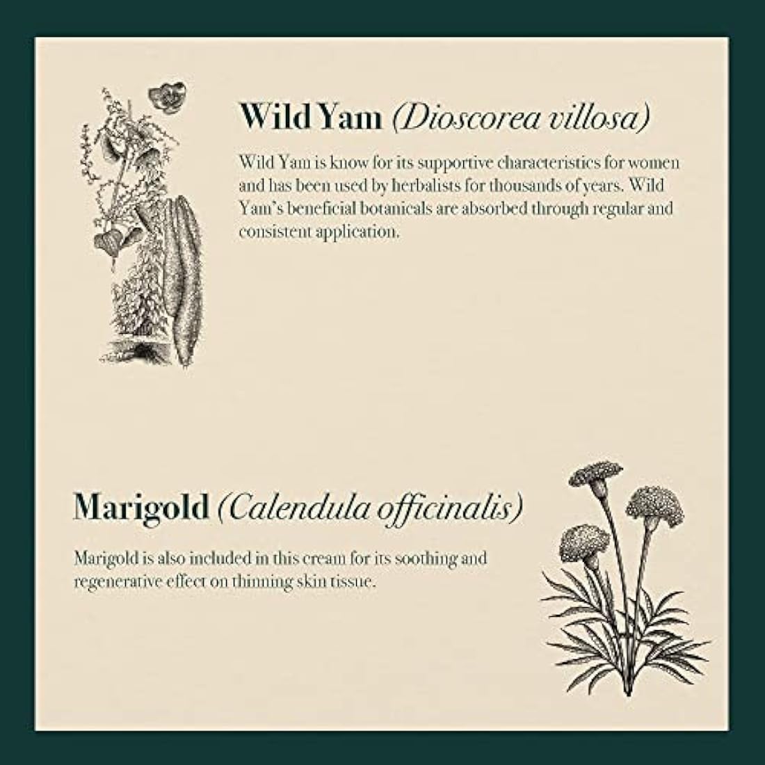 Napiers Vegan Wild Yam and Marigold Cream - Natural Relief for Menopause and Perimenopause Symptoms and Dry Skin - 100 ML (Scentless)