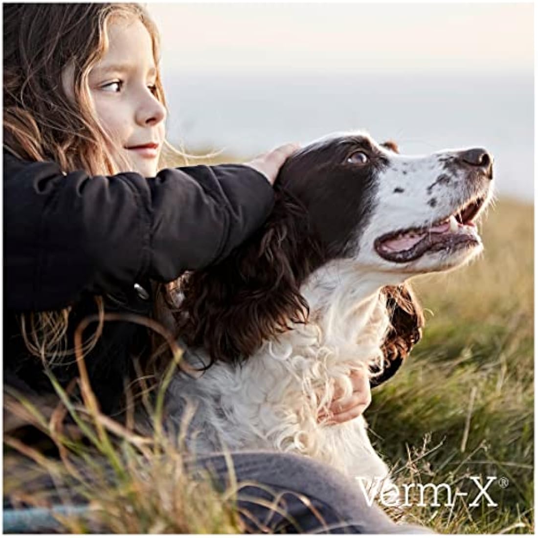 Verm-X All Natural Liquid for all Dogs. Supports Intestinal Hygiene. Vet Approved. UFAS Assured. Restores and Maintains Gut Vitality. Wormwood Free Recipe., Clear
