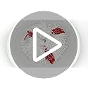 Vileda Turbo 2in1 Spin Mop Refill, Pack of 2 Turbo 2in1 Mop Head Replacements, Fits all Vileda Turbo Mops, Authentic Vileda Mop Head,Red,16.5 x 30 x 22 cm