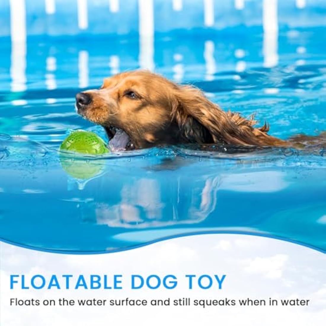 PETTOM Dog Ball Squeaky Toy, Small Dog Chew Toys Balls Waterproof Floating Bouncy Rubber Ball with Squeaky Sound for Training Swimming, 3 Packs (Orange,Blue,Green)