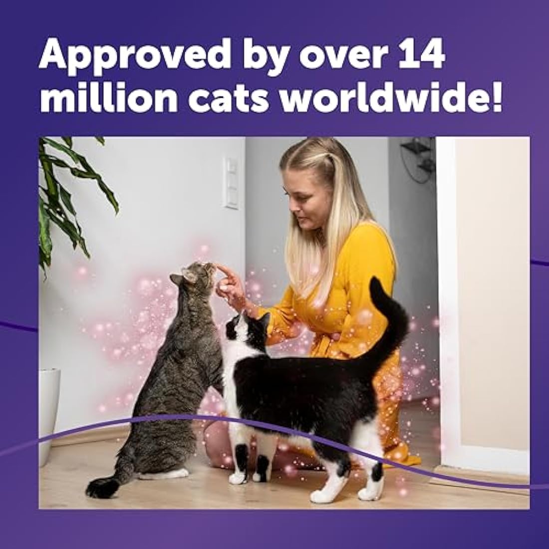 FELIWAY Friends 30 Day Cat Calming Plug In Pheromone Diffuser Starter Kit, 48ml - Helps create harmony and resolve conflict in multi cat households, Veterinary Recommended, Clinically Proven