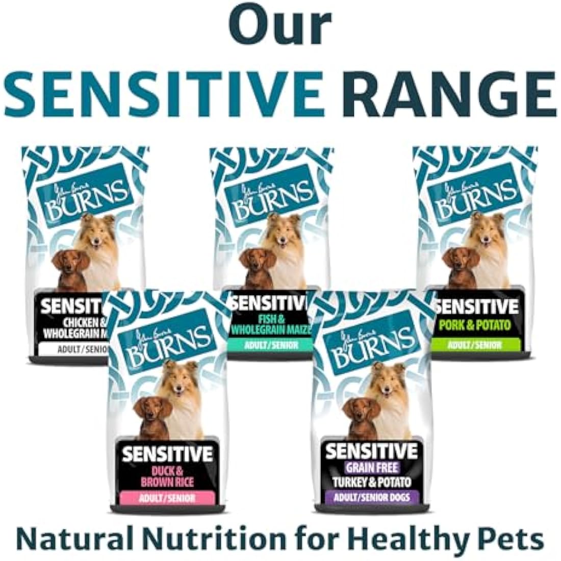Burns Pet Nutrition Complete Dry Hypoallergenic Dog Food For Sensitive Dogs – Turkey and Potato 12 kg